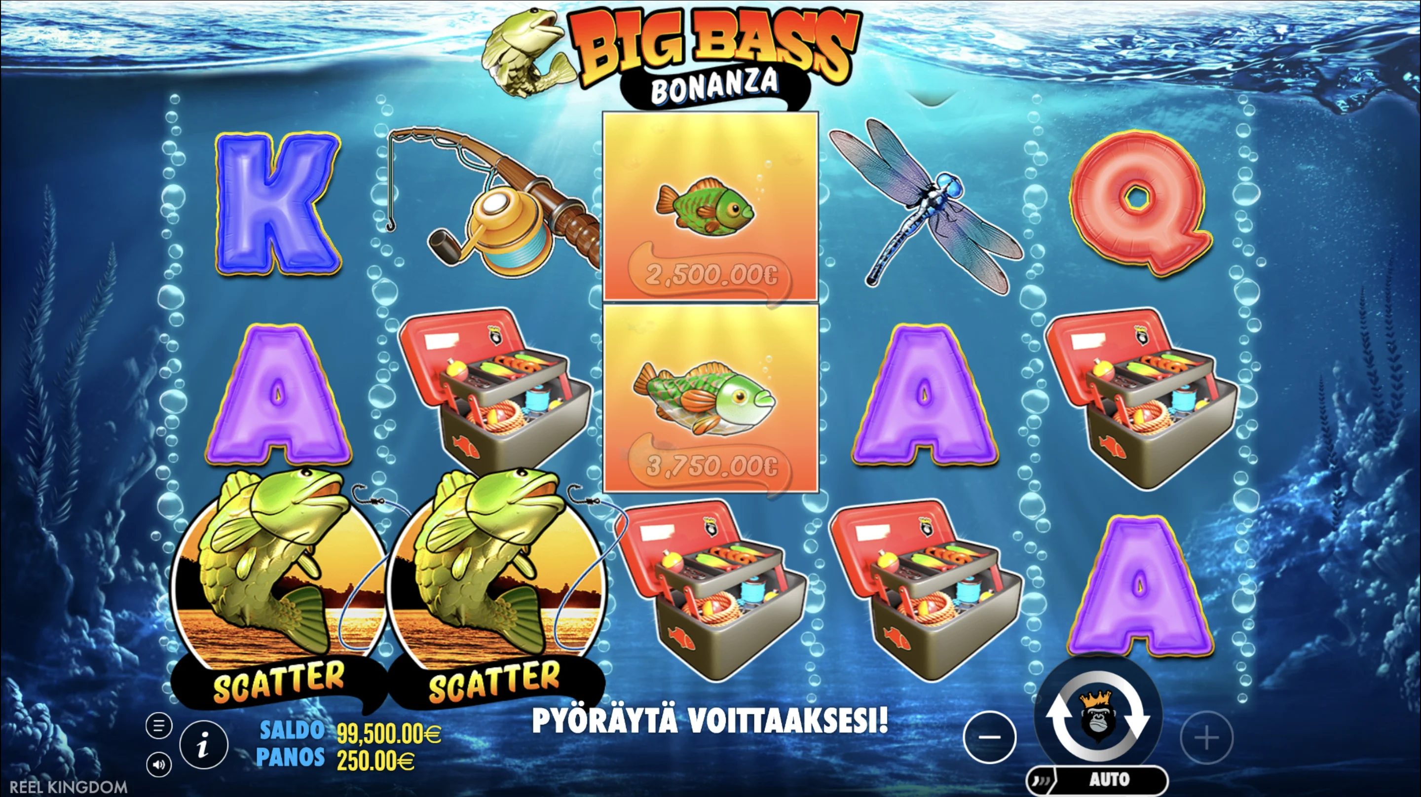 Native Casino-Applikationen: iOS und Android im Vergleich